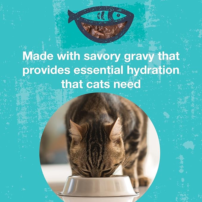 KOHA Poké Bowl Cat Variety Pack, Wet Cat Food in Gravy - 7 Flavors - Tuna Combinations of Salmon, Chicken, Lamb, Duck, Shrimp, and More - 3 oz Pouches, Pack of 12