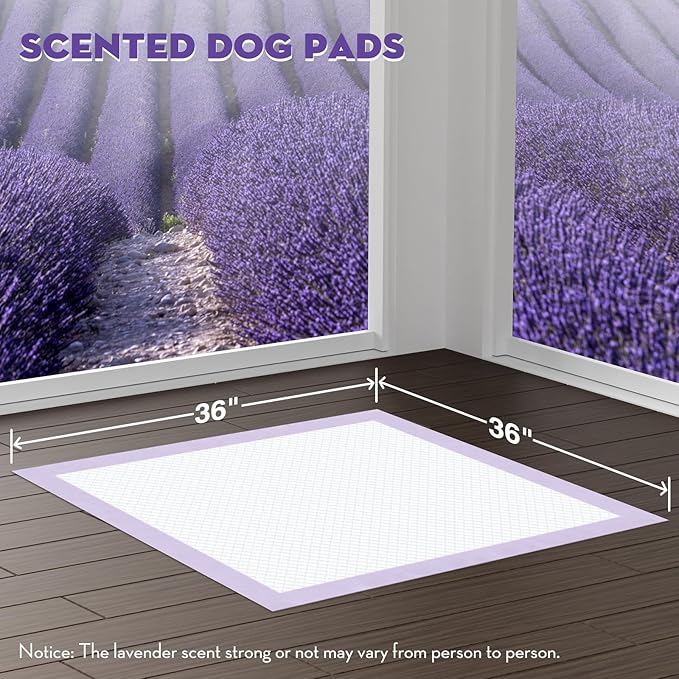 CROCI Dog Pads Extra Large 36x36in, Puppy Pads with Adhesive Tabs Super Absorbent Up to 11 Cups, Disposable (100 Counts)