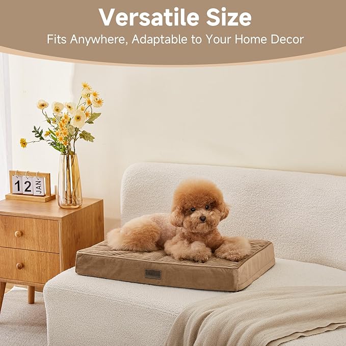 OhGeni Orthopedic Waterproof & Machine Washable Dog Bed for Small Pets, Suitable for Crates, Cat Mat with 25D Egg Crate Foam, Non-Slip Bottom & Removable Cover, 24 Inches(Coffee)