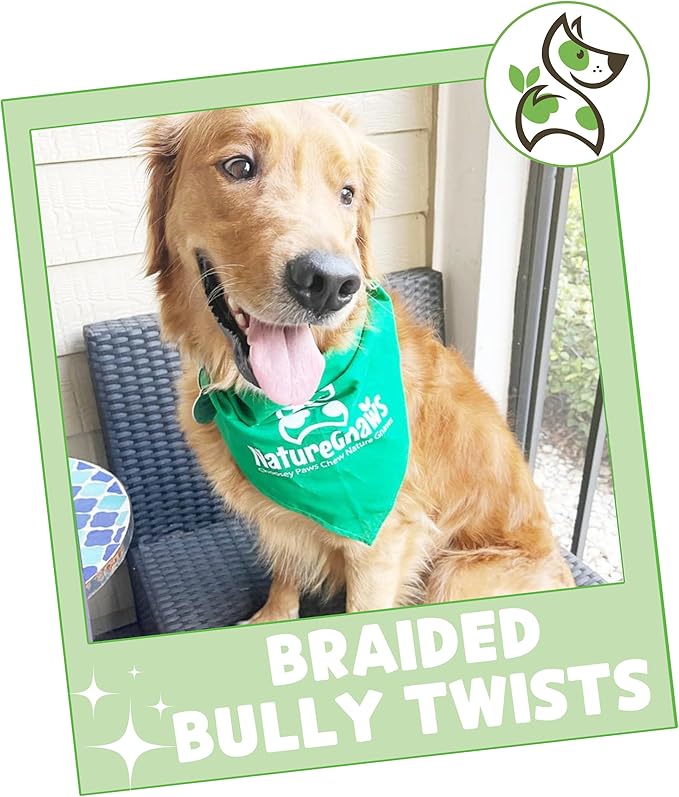 Nature Gnaws Braided Bully Twists for Dogs 5-6" (3 Count) - Long Lasting for Small and Medium Dogs - Natural Beef Dog Chew Bones