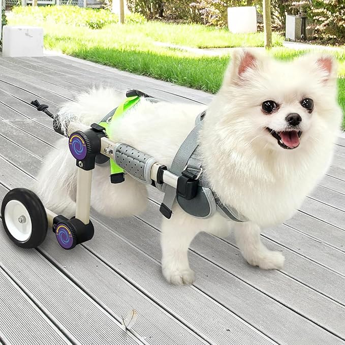 Adjustable Dog Wheelchair for Back Legs Mobility Support Lightweight Pet Wheelchair for Disabled Hind Legs Walking Stable Dog Cart for Pets