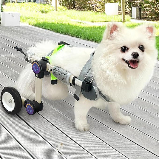 Adjustable Dog Wheelchair for Back Legs Mobility Support Lightweight Pet Wheelchair for Disabled Hind Legs Walking Stable Dog Cart for Pets