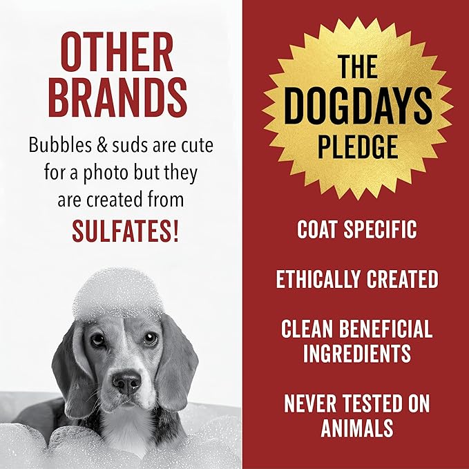 Pride and Groom DogDays Curly + Wavy Grooming Shampoo | Tearless, All-Natural Shampoo for No and Low Shedding Dogs | Moisturizing Formula for Soft, Shiny, & Healthy Fur – 16 oz