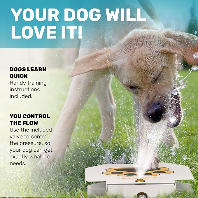 Scuddles Outdoor Dog Water Fountain – Step-On Sprinkler Toy with Stainless Steel Braided Hose, Copper Valve & Non-Slip Base, Easy Activation Hydration Station for Small, Medium & Large Dogs