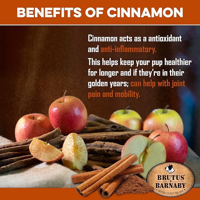 BRUTUS & BARNABY USA Sweet Potato Dog Treats - Crunchy Grain Free Cinnamon Apple Sticks, Promotes Positive Gut Health with Natural Anti-Diarrhea Properties (Cinnamon & Apple, 12 oz)