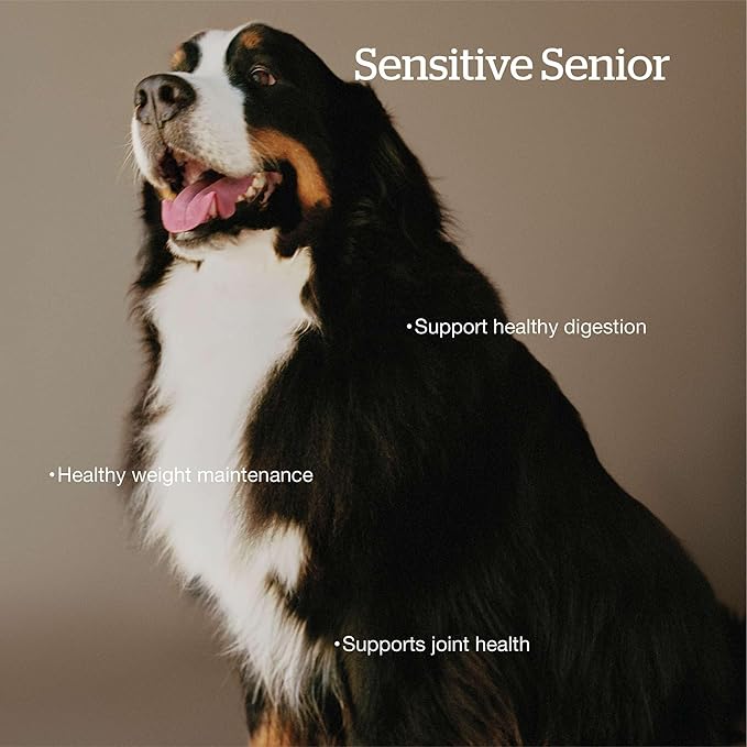 Now Fresh Grain-Free Large Breed Senior Dry Dog Food with Turkey, Salmon & Duck, Premium Kibble Made with Real Meat & Fish, Chicken-Free, Added Glucosamine & Chondroitin for Healthy Joints, 25 lb Bag