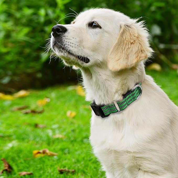 Hikiko Martingale Dog Collars Reflective Nylon Dog Collar with Quick Release Buckle Adjustable Training No Slip Dog Collar (Small, Green)
