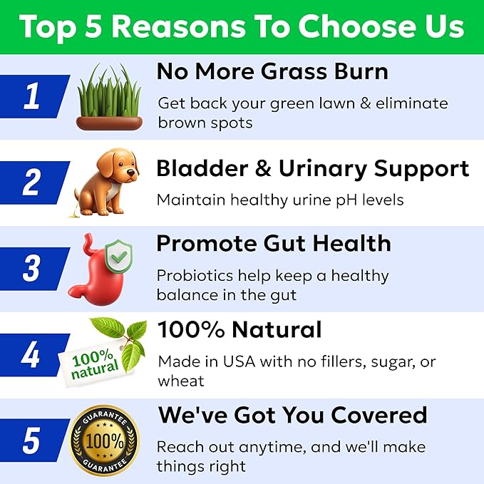 BARK&SPARK Green Grass Chews - Dog Pee Grass Spot Saver Caused by Dog Urine - Urine Neutralizer for Lawn, Gut Health Probiotics & Enzymes, Lawn Burn from Pee, Grass Burn Spot Chews Rocks