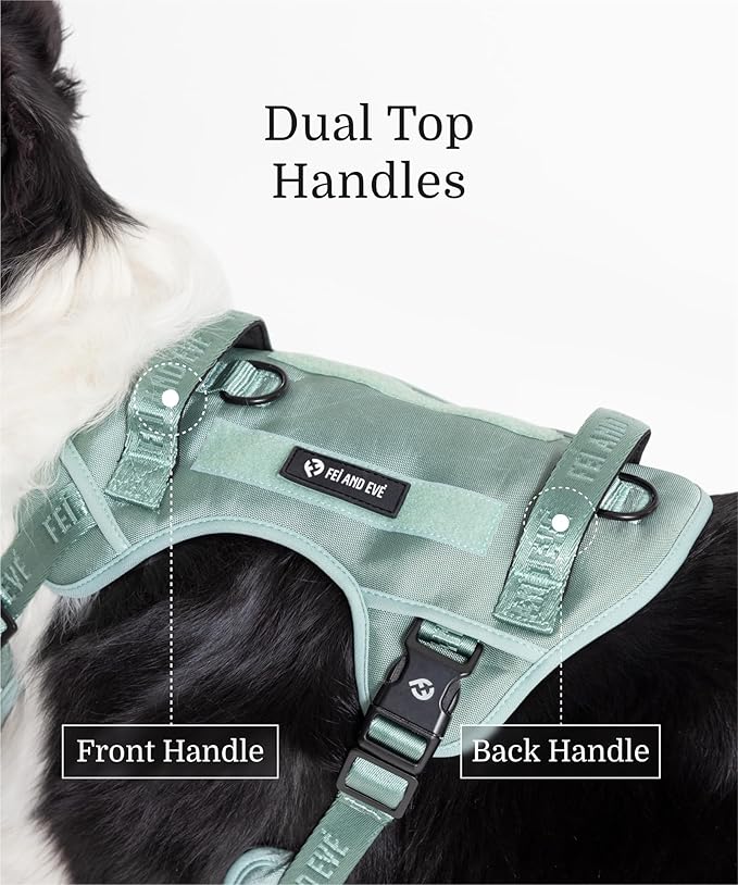 2025 New Edition, Fei & Eve Classic Dog Harness - Quick-Release Buckles | 3-Point No-Pull Control | Heavy-Duty 900D Nylon | Dual Safety Handles | Breathable Mesh | Adjustable Fit | Medium,Green