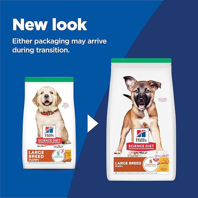 Hill's Science Diet Large Breed Puppy Food, DHA to Support Healthy Development, Chicken & Brown Rice Dry Dog Food, 15.5 lb. Bag