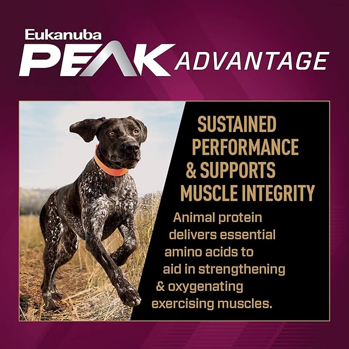 Eukanuba Adult Premium Performance 30/20 Sport Dry Dog Food, 14 lb Bag