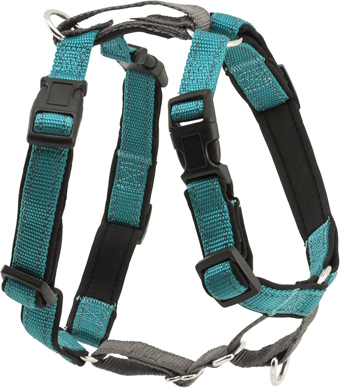 PetSafe 3-in-1 Harness - Comfortable Easy-Walk Dog Chest Harness with Front Leash Attachment to Reduce Pulling, Choking & Gagging - Dog Obedience Gear - Small - Teal