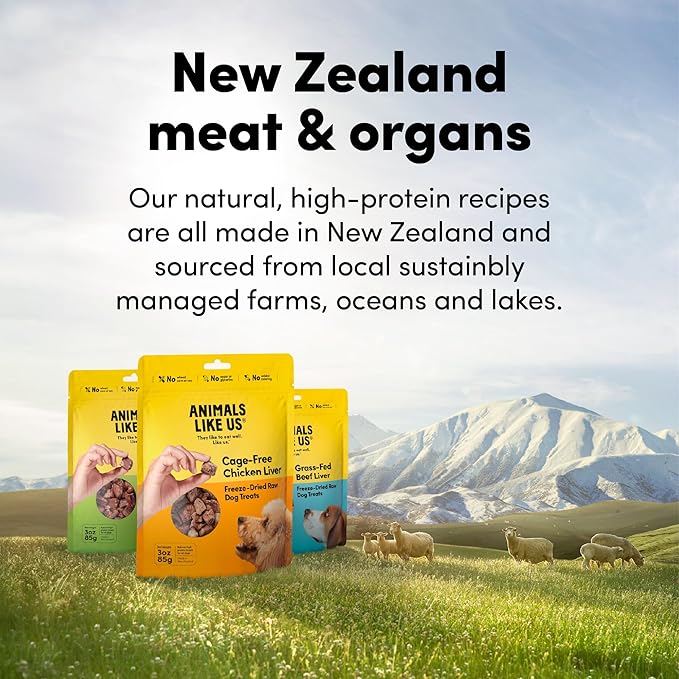 Premium Dog Treats, Freeze-Dried Raw 100% Grass-Fed Lamb Heart, Single Ingredient, Protein Rich, Non-GMO, No Wheat or Corn, 3 oz