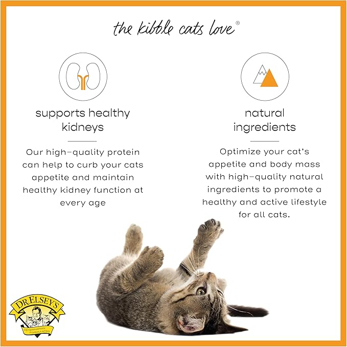 Dr. Elsey's cleanprotein Protein Bites Turkey 6 oz.