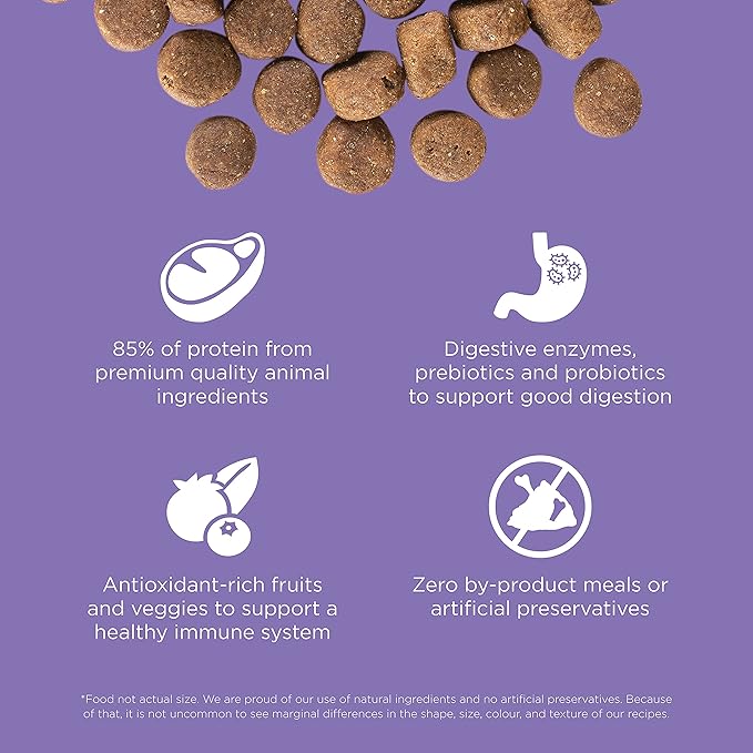 Go! Solutions Carnivore, Grain-Free, Protein Rich Dry Dog Food, Chicken, Turkey and Duck Senior Recipe, 22 lb Bag