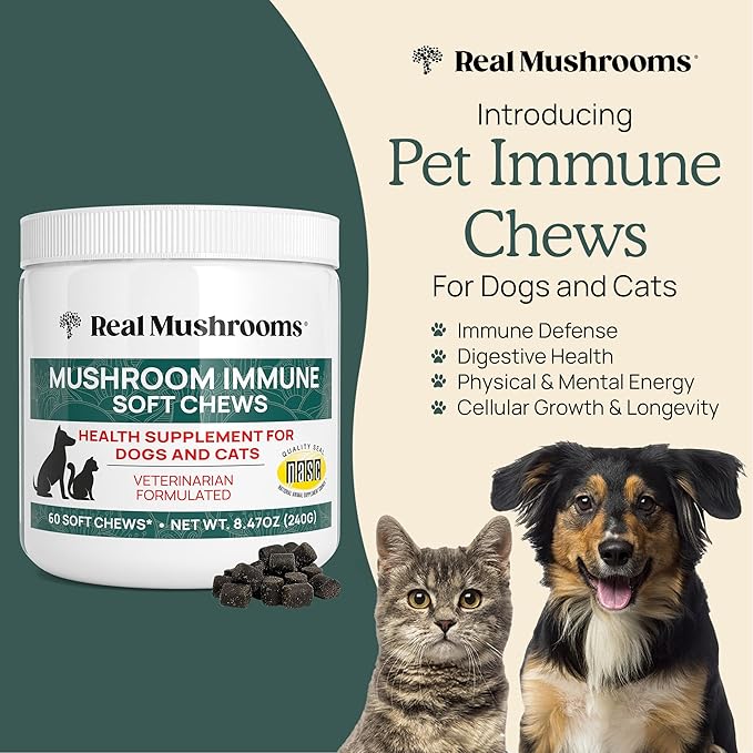 Real Mushroom Immune Pet Chews – For Daily Digestive & Immune Health – Mushrooms for Dogs & Cats Functional Treat – Mushroom Supplement for Dogs & Cats – 1 to 4 Chews For All Breeds & Sizes (60 Count)