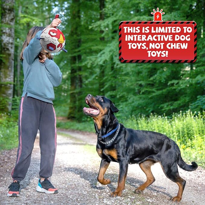 QDAN Dog Toys Soccer Ball with Straps - Durable Extra Large Dog Balls, Beach Pool Water Toys, Herding Balls (9 Inch)