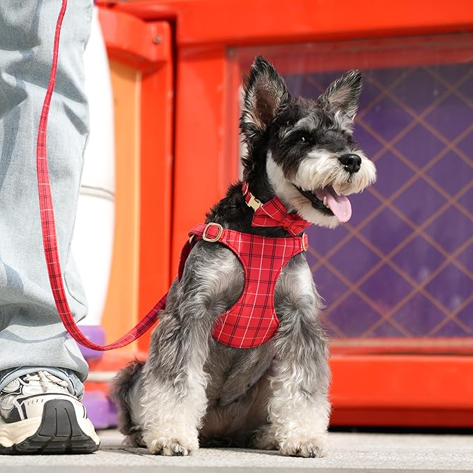 Beirui Cute Small Dog Harness Collar and Leash Set with Bowtie, Soft Adjustable Plaid Puppy Harness for Small Sized Dogs Cats Walks Parties and Photoshoots(Red,S:Chest 17-23")