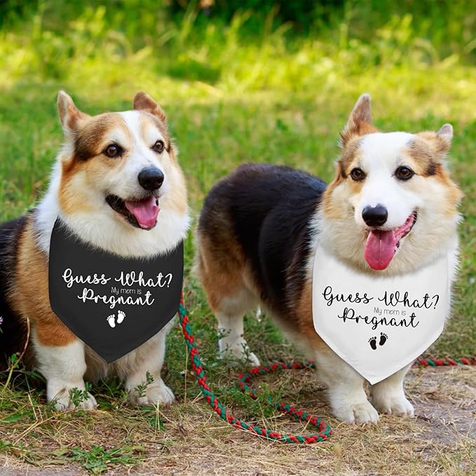 2 Pack Guess What? My Mom is Pregnant Pregnancy Announcement Dogs Bandana Baby Dogs Bandana Dog Pregnancy Announcement Gender Reveal Photo Prop Pet Scarf Accessories for Pet Dog Gifts