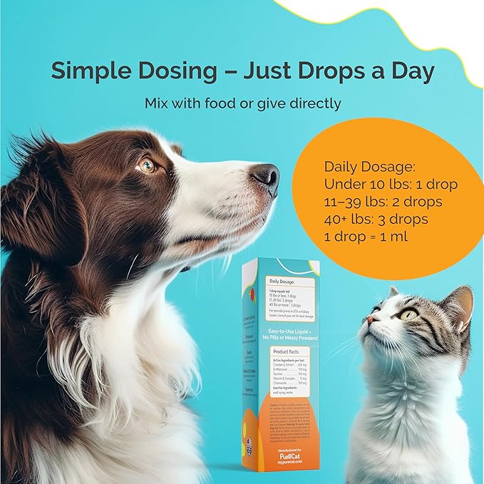 Urinary Tract Infection Treatment for Cat & Dog | Urinary Tract & Kidney Support for Pets | Bladder Infection Treatment | UTI Drops | Veterinarian Recommended