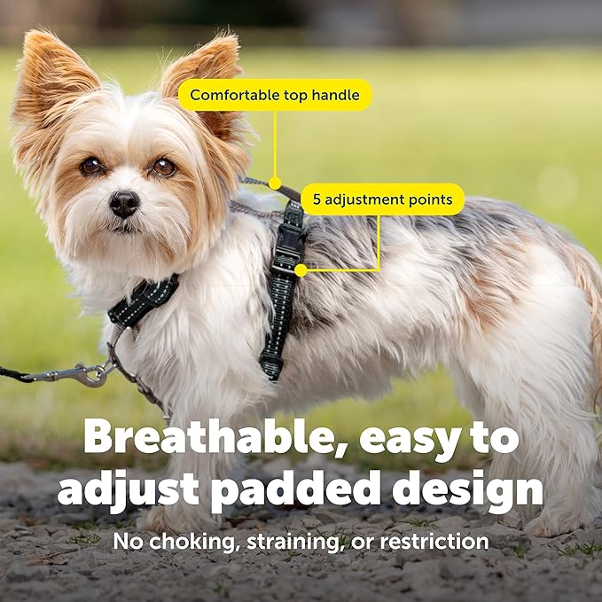 PetSafe 3 in 1 Dog Harness - No Pull Solution for Dogs - Reflective Dog Harness - Front D-Ring Clip Helps Stop Pulling - Comfortable Padded Straps - Top Handle Enhances Control - Black - Extra Small
