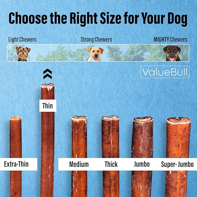 ValueBull Bully Sticks for Small Dogs, Thin 6 Inch, 50 Count - All Natural Dog Treats, 100% Beef Pizzles, Single Ingredient