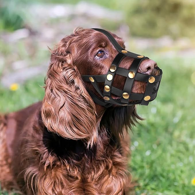 OOPSDOGGY Cocker Spaniel Dog Muzzle for Small Dogs - Leather Breathable Secure Basket Muzzle for Small Medium Breeds Prevents Biting No Chewing Adjustable (Black, Size 1 - Cocker Spaniel)