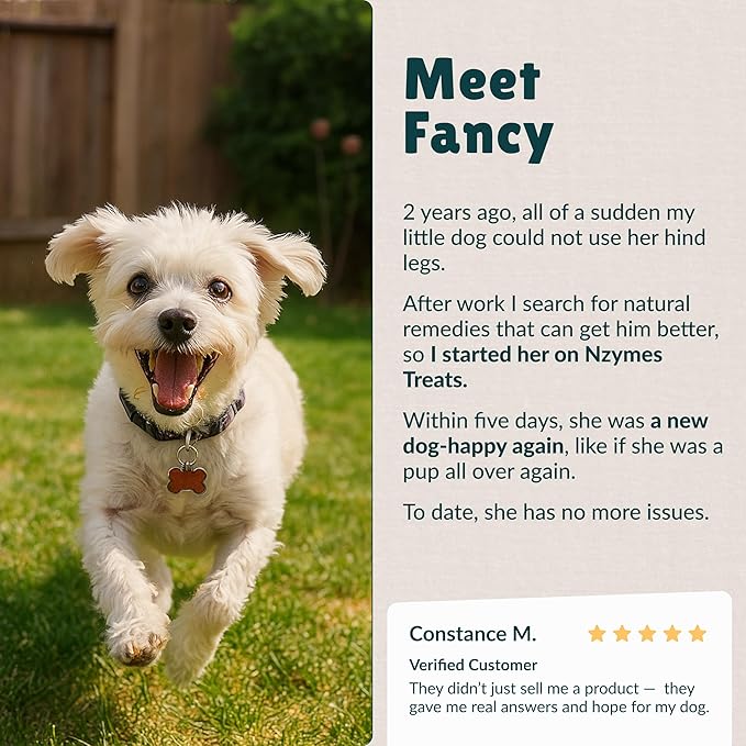 Nzymes® Antioxidant Tiny Treats - for Dogs Joints, HIPS, Paralysis, Skin, Coat, Hair Loss, Aging, Digestion, Seizures - Dog Treats for Small Dogs - 90 Treats - Made in The USA