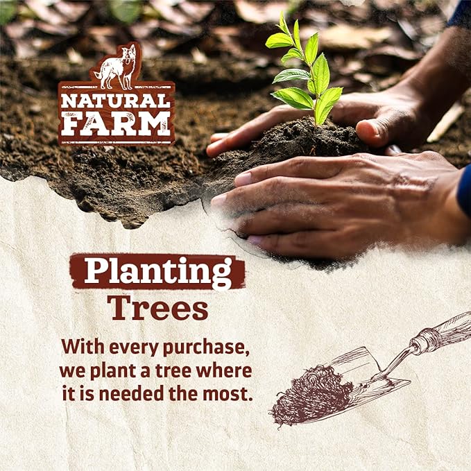 Natural Farm Odor-Free Super Collagen Dog Chews (12-Inch, 5-Pack) The First Ever Real Bull Sticks Alternative: 100% Natural Angus Hide Collagen Treats - More Protein, More Chew Time for All Dogs