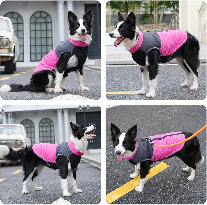 Warm Fleece Dog Coats for Small Dogs,D-Rings Waterproof Puppy Jacket for Cold Winter,Pink M