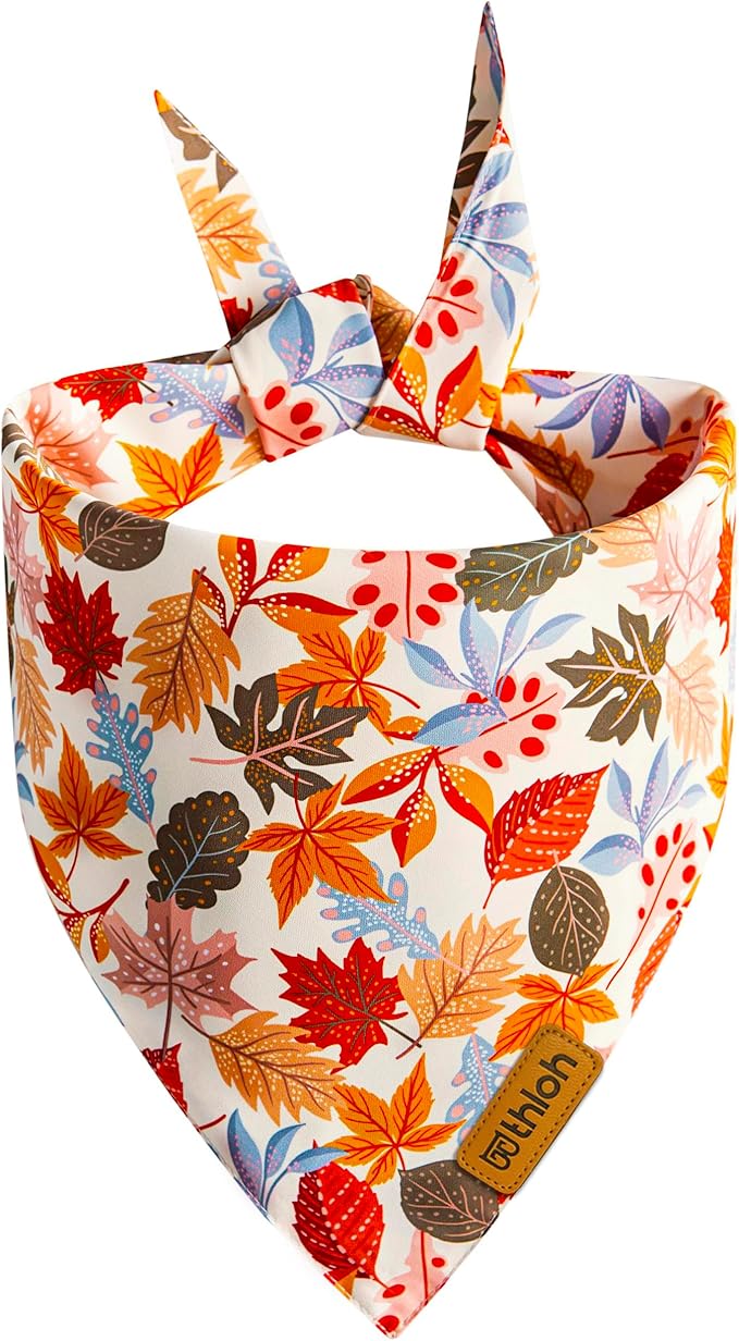 Fall Dog Bandanas - 2 Pack Halloween Thanksgiving Dog Bandana | Reversible Pumpkin and Leaf Pet Scarf | Premium Durable Fabric | Boys & Girls | Holiday Bandana for Small and Medium Dogs (Small)