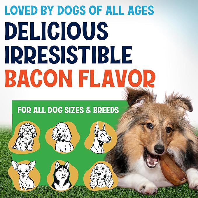 Whole Pig Ears for Dogs Large - 30 Pack Long Lasting Dog Chews – One Ingredient Delicious All Natural Flavor – Easy to Digest Dog Treats for Large Dogs - Great for Teeth and Gums