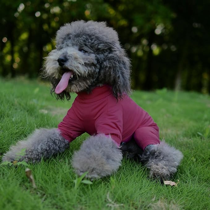 LoveLongLong Dog Jumpsuit with UV Protection and Quick-Dry Fabric for Spring Summer Pet Pajamas Taro Purple M