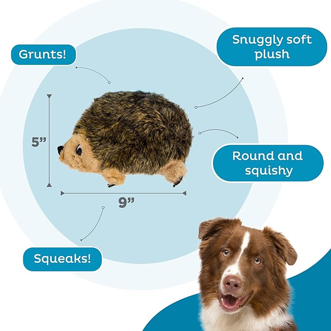 Outward Hound, Hedgehogz Plush Dog Toy, Medium