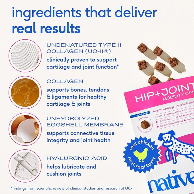 Native Pet Hip & Joint Supplement for Dogs - Advanced Dog Joint & Arthritis Supplement - Helps Maintain Healthy Cartilage, Joint Flexibility, Lubrication, & Function - with ESM & Collagen - 60 Chews