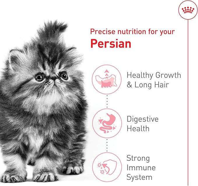 Royal Canin Feline Breed Nutrition Persian Kitten Dry Cat Food, 3 lb Bag
