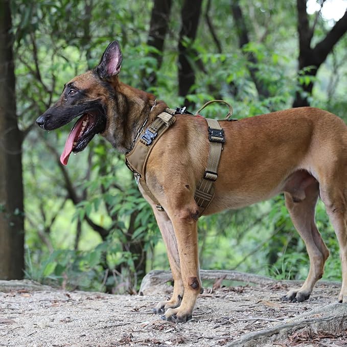 ICEFANG Dog Strap Harness with 4 x Metal Buckles,for X-Large Sized Dog,K9 Vest,Y-Shape Chest,Adjustable Pet Harness,No-Pull Front Leash Clip (X-Large (Pack of 1), Brown)