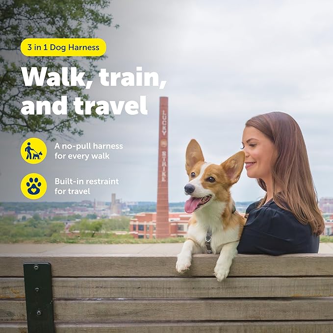 PetSafe 3-in-1 Harness - Comfortable Easy-Walk Dog Chest Harness with Front Leash Attachment to Reduce Pulling, Choking & Gagging - Dog Obedience Gear - Small - Teal