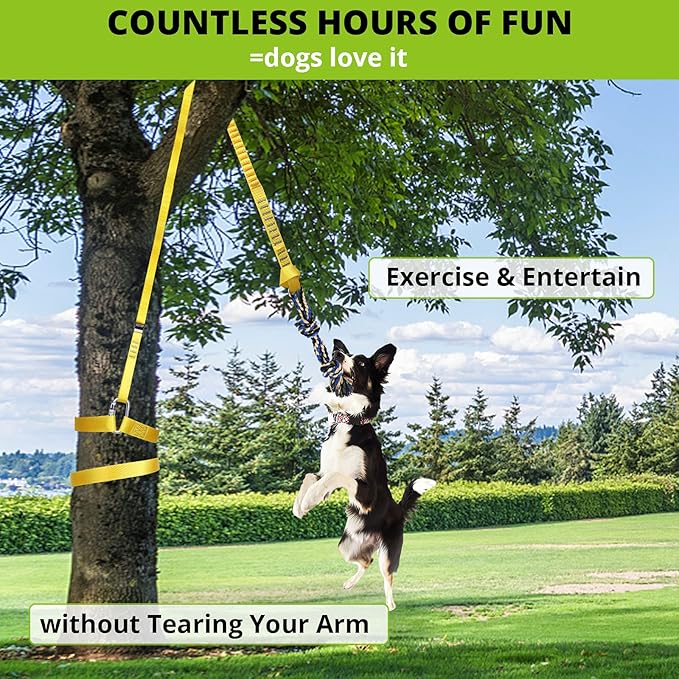 Dog Hanging Bungee Tug Toy: Interactive Tether Tug-of-War for Pitbull Small to Large Dogs to Exercise and Fun Solo Play - Durable Retractable Tugger Dog Rope Toy with 2 Chew Rope Toys