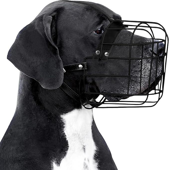 BRONZEDOG Dog Muzzle Adjustable Durable PVC Wire Basket for Large and Extra Large Dogs with Leather Straps Breathable, Drinkable, Training, Prevents Biting (PVC, Great Dane)