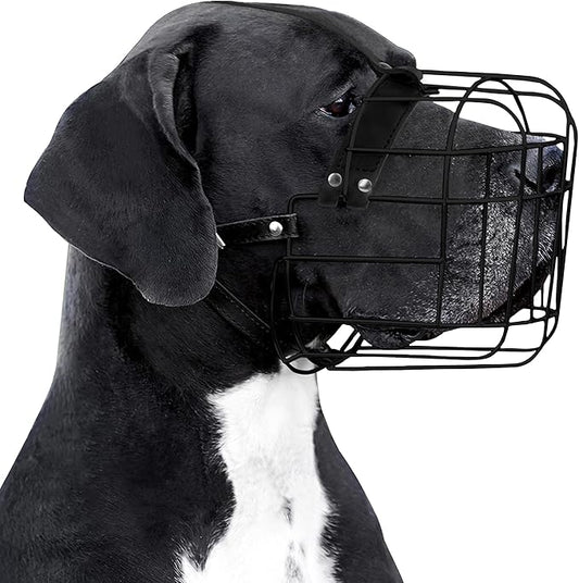 BRONZEDOG Dog Muzzle Adjustable Durable PVC Wire Basket for Large and Extra Large Dogs with Leather Straps Breathable, Drinkable, Training, Prevents Biting (PVC, Great Dane)