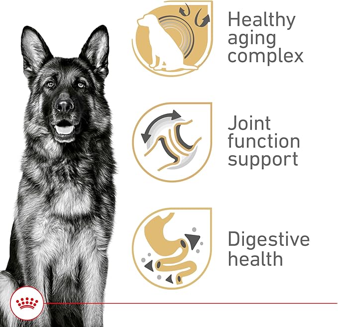 Royal Canin® Breed Health Nutrition German Shepherd Adult 5+ Dry Dog Food, 28 lb