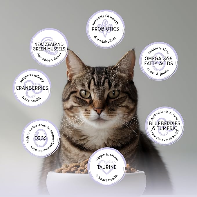 Blackwood Bounty Dry Cat Food, Cod & Carp Recipe for All Life Stages, 2 Pound Bag, High Protein, Grain Free