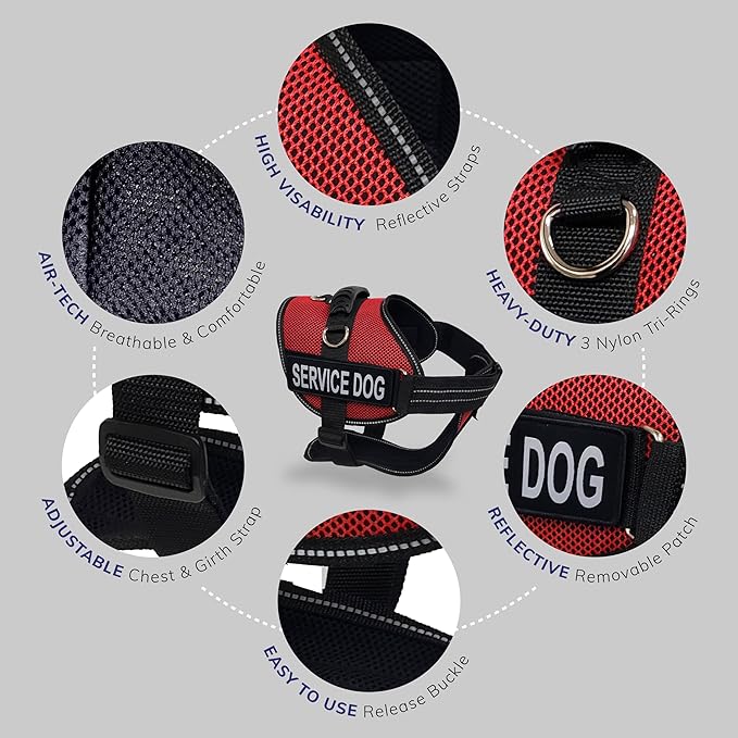 ActiveDogs.com 2XL Red Service Dog Harness Kit - No Pull Dog Vest, Handle, ID, ADA Cards, Medical Alert Keychain, Leash & Patches