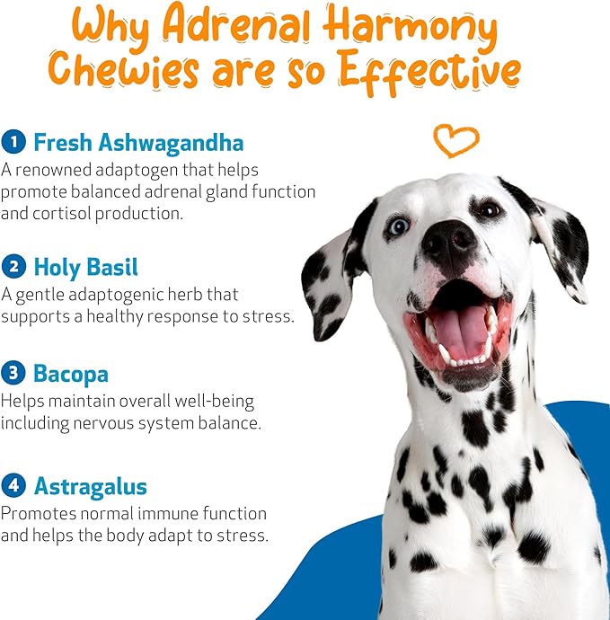 Pet Wellbeing Adrenal Harmony Chewies for Dogs - Vet-Formulated - Dog Adrenal Support, Cortisol Balance, Ashwagandha, Bacopa - Herbal Supplement (90 Soft Chews)