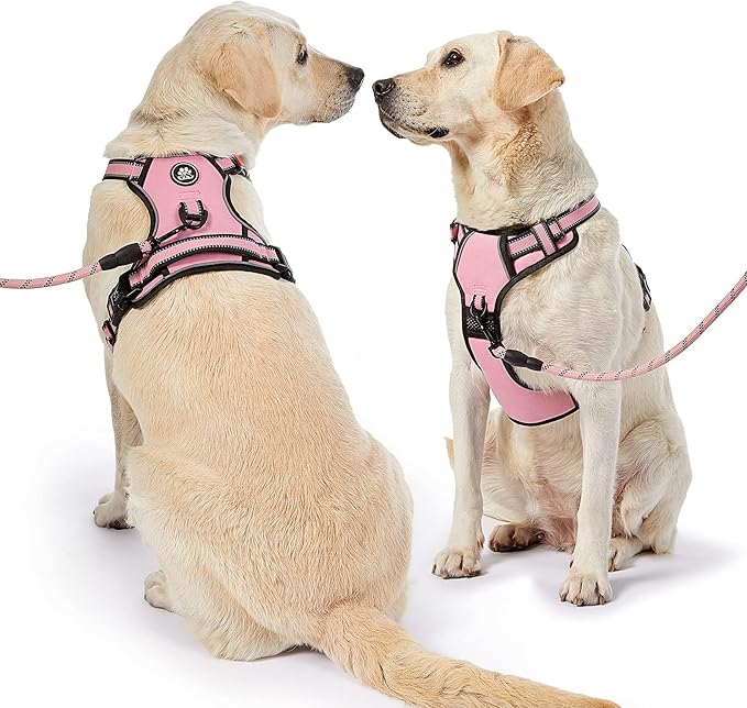 NESTROAD No Pull Dog Harness,Adjustable Oxford Dog Vest Harness with Leash,Reflective No-Choke Pet Harness with Easy Control Soft Handle for Small Dogs(Small,Pink)