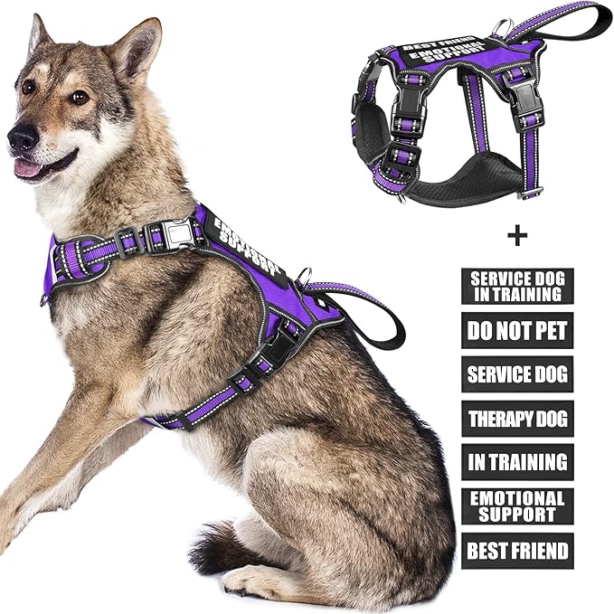 WINSEE Service Dog Vest No Pull Dog Harness with 7 Dog Patches, Reflective Pet Harness with Durable Soft Padded Handle for Puppies, Small, Medium, Large, and Extra-Large Dogs
