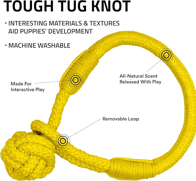 Playology Dog Toys | Puppy Toy Tough Tug Knot for Tug of War Designed for Young & Active Dogs | Medium Chicken Scented Toy Made from Non Toxic Materials