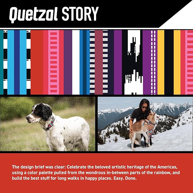 Wolfgang Heavy Duty Adjustable Dog Harness, Pull-Tested to Over 800 lbs for Walking & Training, Quetzal Print, Small