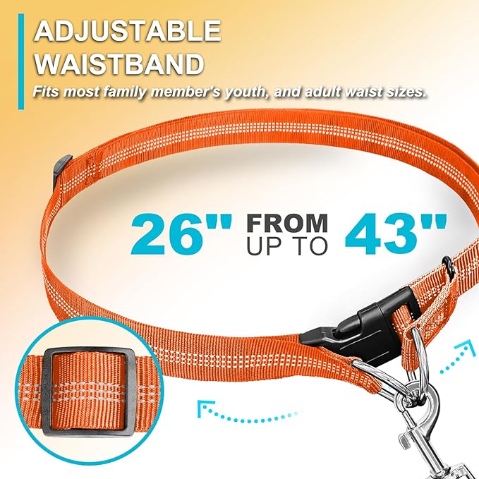 Hands Free Dog Leash, Adjustable Waist Leash for Dog Walking, Dual Bungee 4.2-6.7 Feet Long with Reflective Stitches for Walking Hiking Running, Fits 26"- 43" Inch Waist, Orange